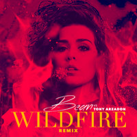 Bean - Wildfire (Tony Arzadon Remix) - Single