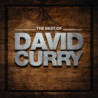 David Curry - The Best of David Curry