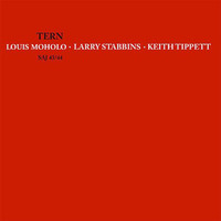Moholo / Stabbins / Tippett - Tern