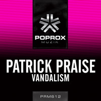 Patrick Praise - Vandalism