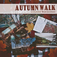 Doug Hammer - Autumn Walk - Orchestrated (feat. Doug Hammer)