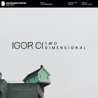 Igor CI - Two Dimensional