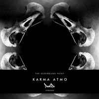 The Assemblage Point - Karma Atmo