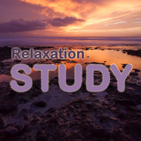Moonlight Sonata, Deep Focus and Reading and Studying Music - Relaxation Study