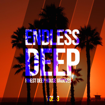 Various Artists - Endless Deep - Finest Deep House Grooves, Vol. 3