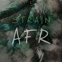 Strain - AFR (Explicit)