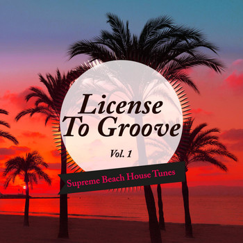 Various Artists - License to Groove - Supreme Beach House Tunes, Vol. 1