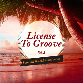 Various Artists - License to Groove - Supreme Beach House Tunes, Vol. 2