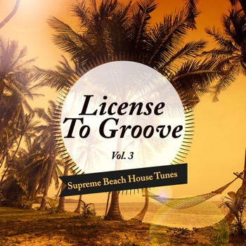 Various Artists - License to Groove - Supreme Beach House Tunes, Vol. 3