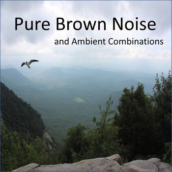 Brown Noise Radio, Pure Brown Noise and Ambient Combinations - Pure Brown Noise and Ambient Combinations, including Clothes Dryers, Waterfalls, Crickets and more (Loopable Audio for Insomnia, Meditation, and Restless Children)
