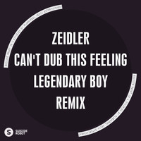 Zeidler - Can't Dub This Feeling Remix