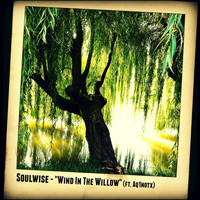 Soulwise - Wind in the Willow (feat. Aq1notx) - Single