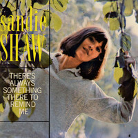 Sandie Shaw - There's Always Something There to Remind Me