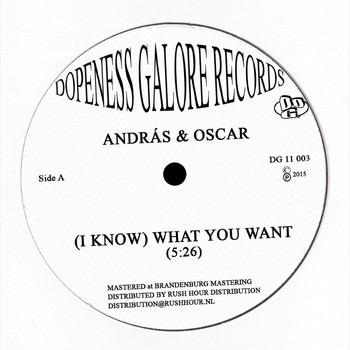 Andras, Oscar Key Sung - (I Know) What You Want