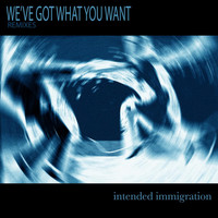 Intended Immigration - We've Got What You Want (Remixes)