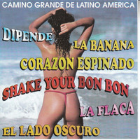 Camino Grande de Latino America - Camino Grande De Latino America
