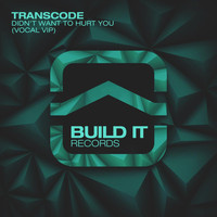 Transcode - Didn't Want To Hurt You (Vocal VIP)