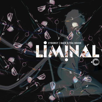 Liminal - Cyborgy / Back N Tha House