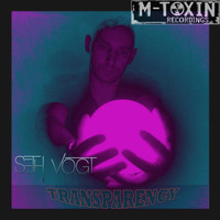 Seth Vogt - Transparency