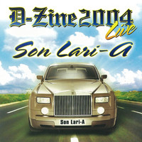 D-Zine - Son lari - a