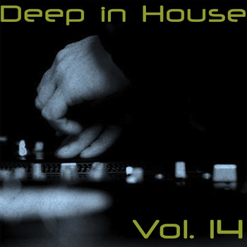 Various Artists - Deep in House, Vol. 14