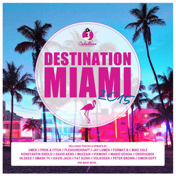 Various Artists - Destination: Miami 2015