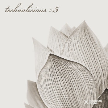 Various Artists - Technolicious #5