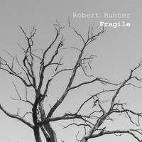 Robert Hunter - Fragile