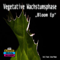 Vegetative Wachstumsphase - Bloop EP