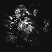 Survey - Cold Shoulder / Untitled