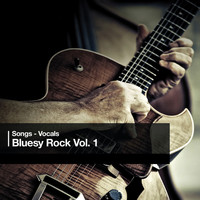 Robert J. Walsh - Bluesy Rock Vol. 1