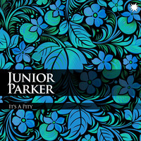 Junior Parker - It's A Pity
