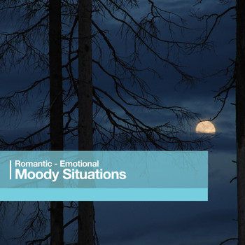 Robert J. Walsh - Moody Situations