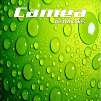 Josh Sickles - Camea