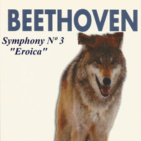 SWF Symphony Orchestra Baden-Baden - Beethoven - Symphony Nº 3 "Eroica"