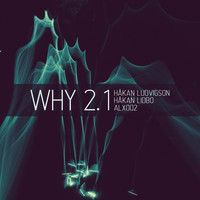 Hakan Ludvigson - Why 2.1