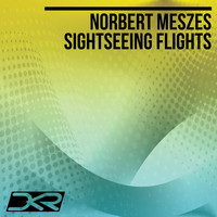 Norbert Meszes - Sightseeing Flights (Original Mix)