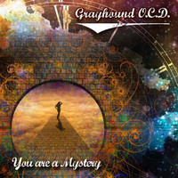 Grayhound O.C.D. - You Are a Mystery