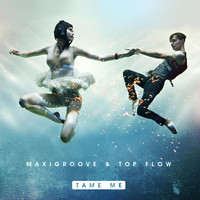 Maxigroove & Top Flow - Tame Me