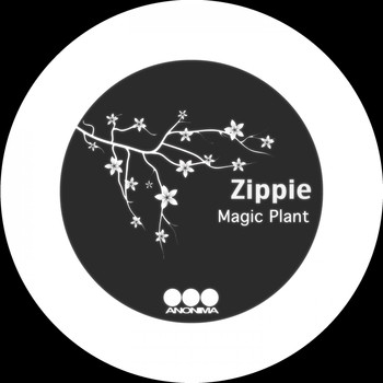 Zippie - Magic Plant