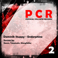 Dominik Stuppy - Endorphine