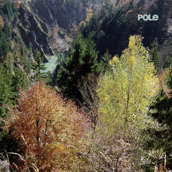 pole - Wald