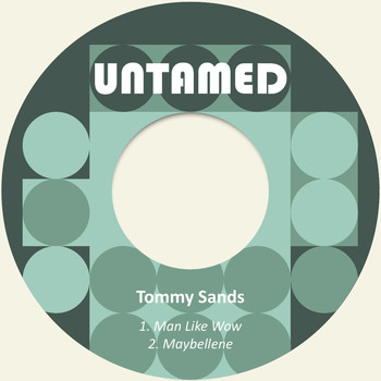 Tommy Sands - Man Like Wow