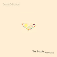 David O'Dowda - The Trouble (Phlux Remix)