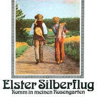 Elster Silberflug - Rosengarten