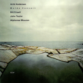 Arild Andersen - Molde Concert