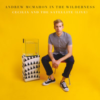 Andrew McMahon in the Wilderness - Cecilia And The Satellite (Live)