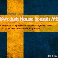 Patrick Seeker - Swedish House Sounds.V2 DJ Tools