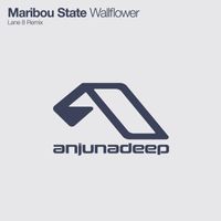 Maribou State - Wallflower
