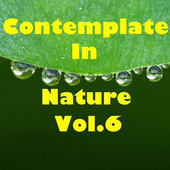 Various Artists - Contemplate In Nature, Vol.6